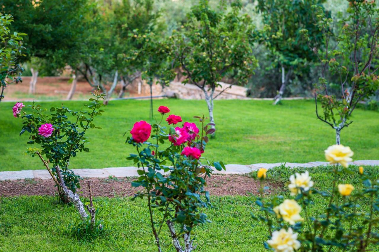 ελαιών Apartments/eleon Apartment Korissia (Kea)